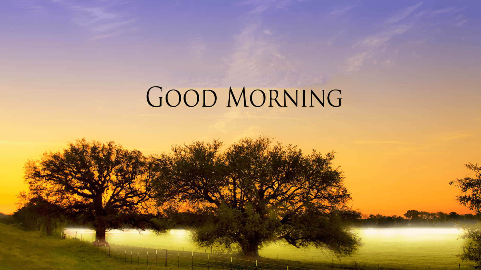 Free Good Morning Wallpaper Downloads, [100+] Good Morning Wallpapers for  FREE 