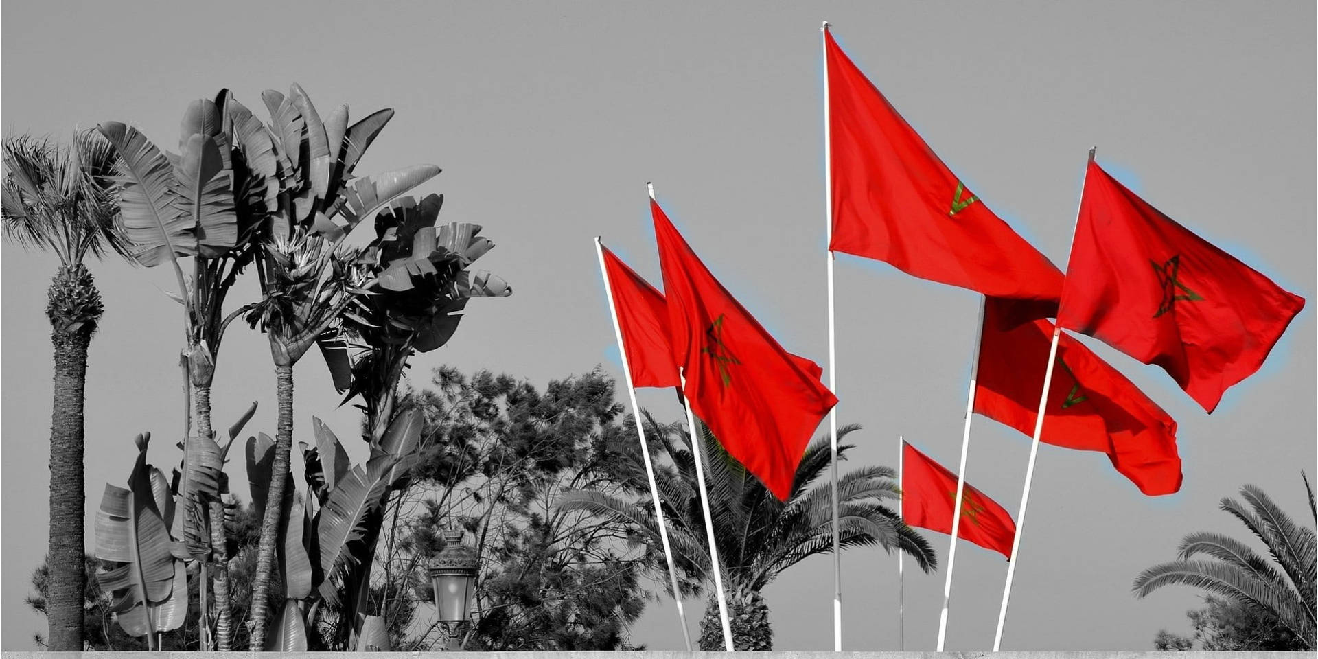 Morocco National Flag Wallpaper