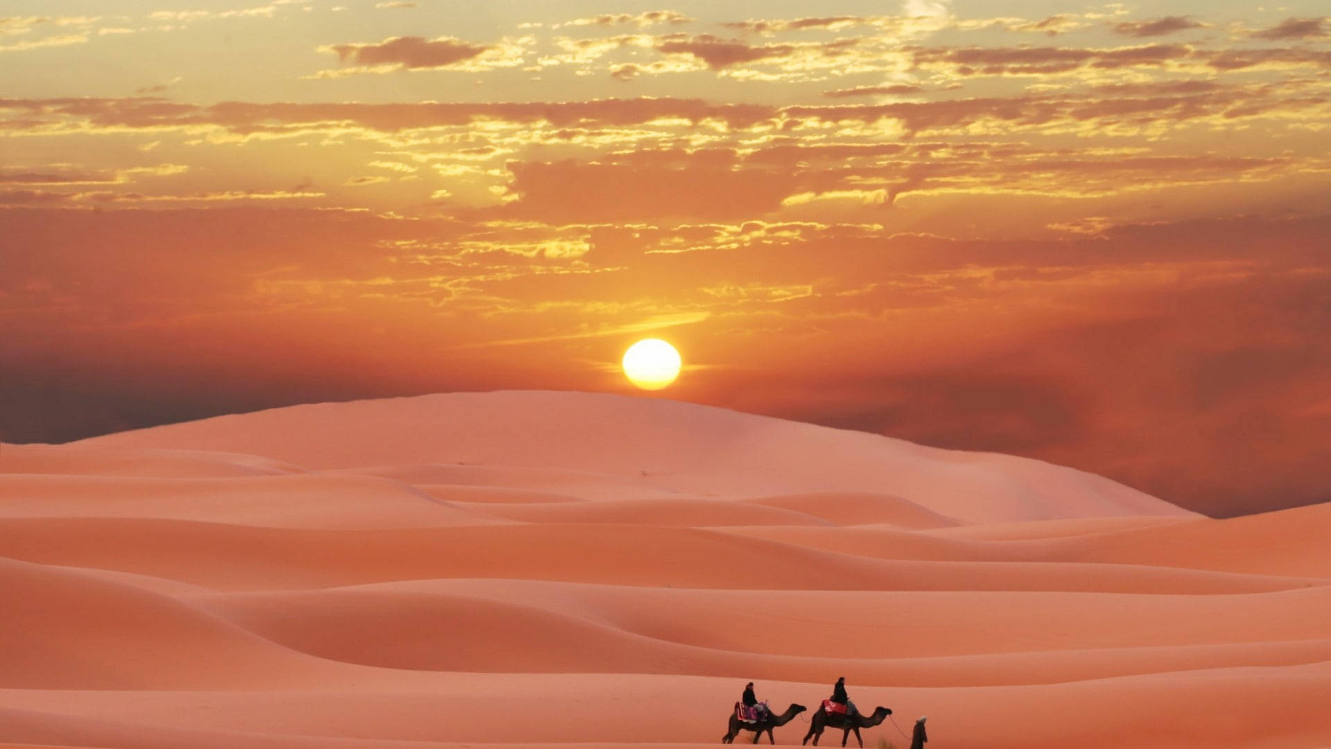 Morocco Pink Sahara Desert Wallpaper