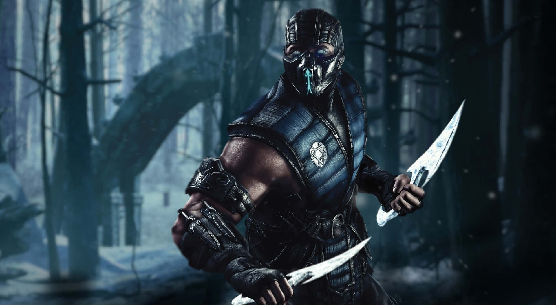 Furious Sub-Zero in Icy Battle Wallpaper