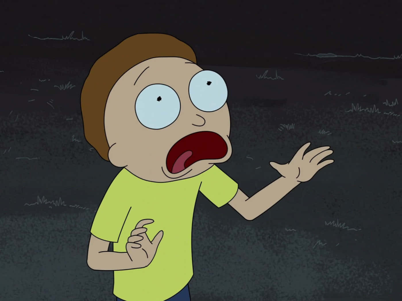 Morty Smith, star of the hit animated show Rick and Morty Wallpaper