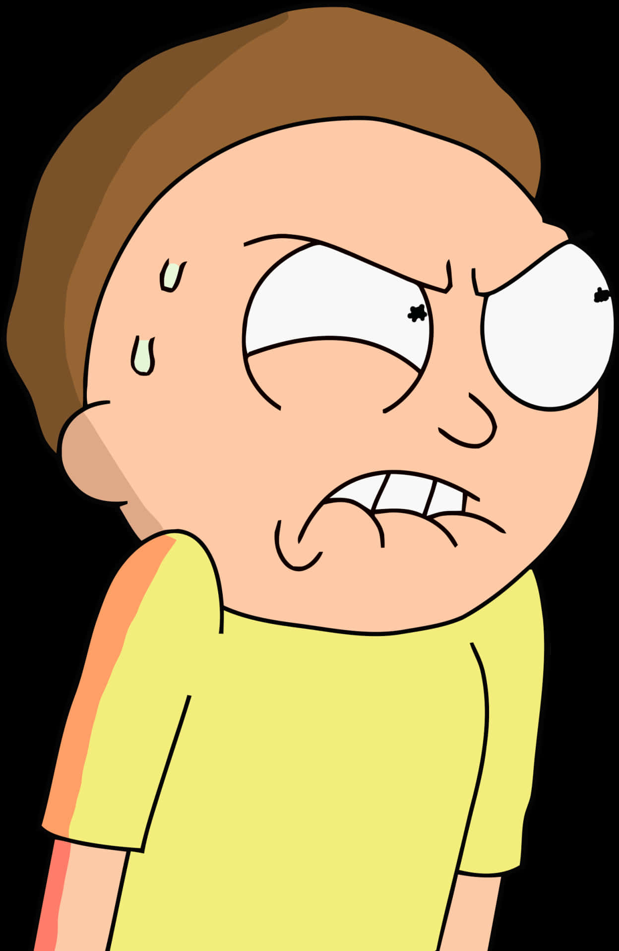 Morty Smith Annoyed Expression PNG