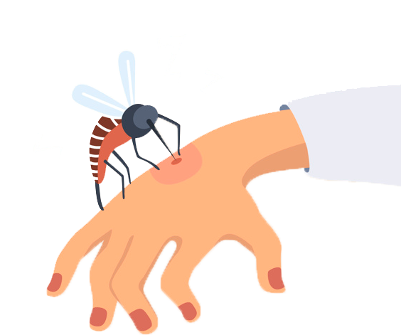Mosquito Biting Hand Illustration PNG