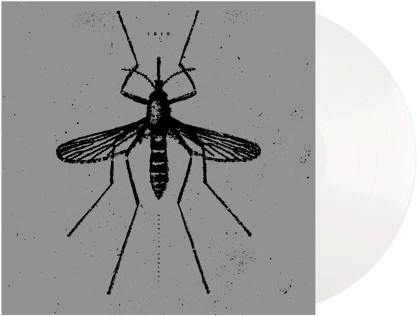 Mosquito Illustration Blackand White PNG