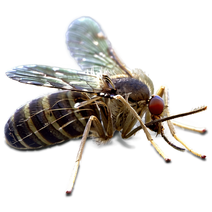 Mosquito Swarm Png 15 PNG