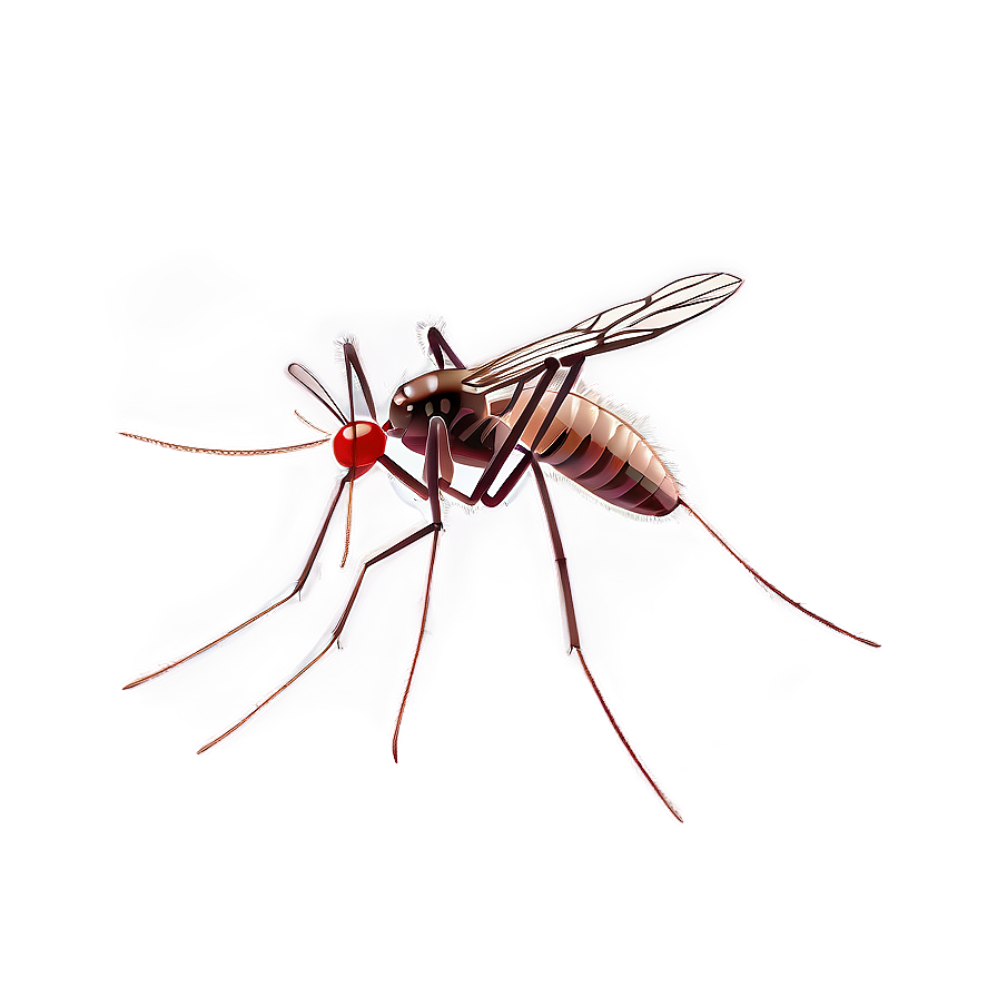 Mosquito With Transparent Background Png Xfy PNG