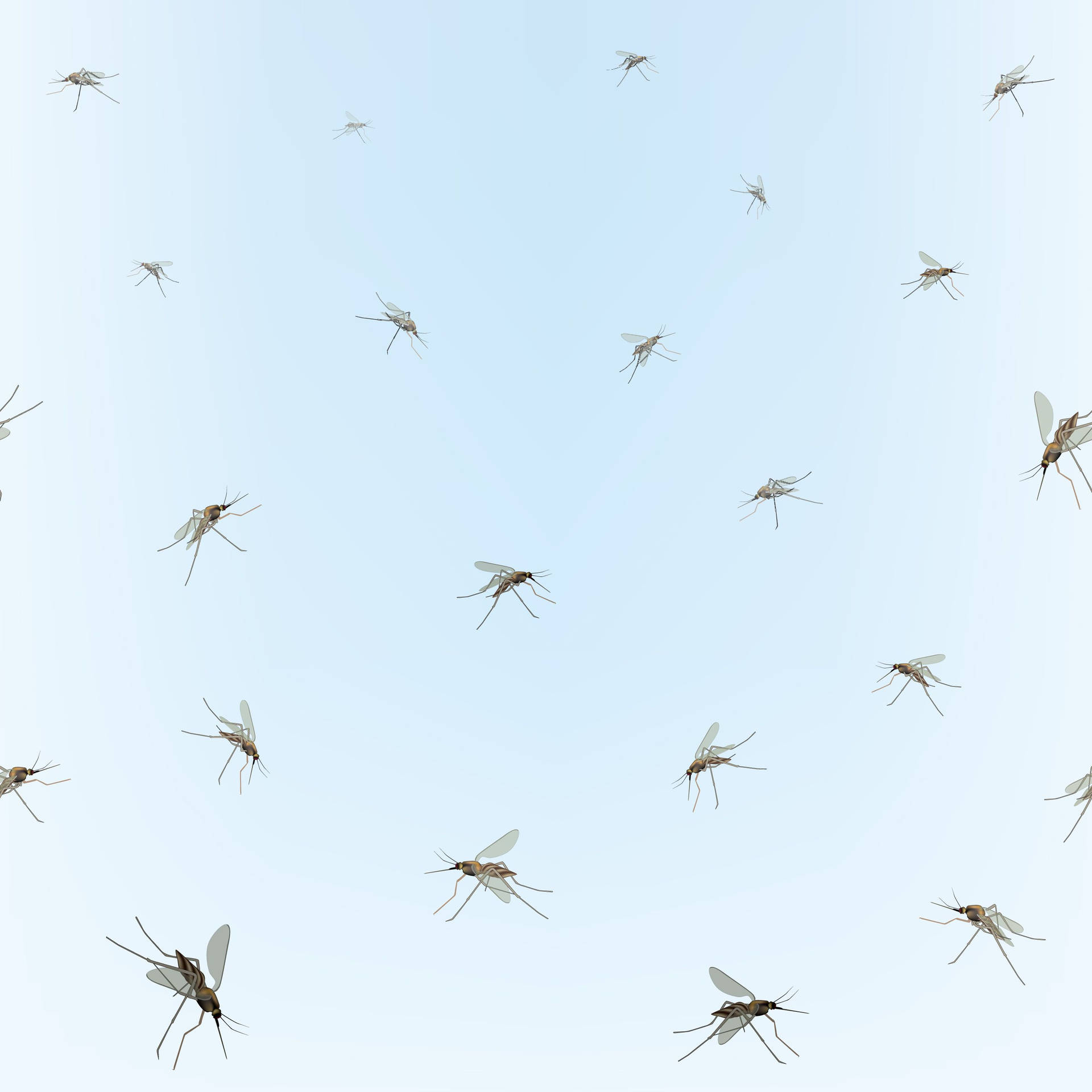 Mosquitosem Um Fundo Azul Papel de Parede
