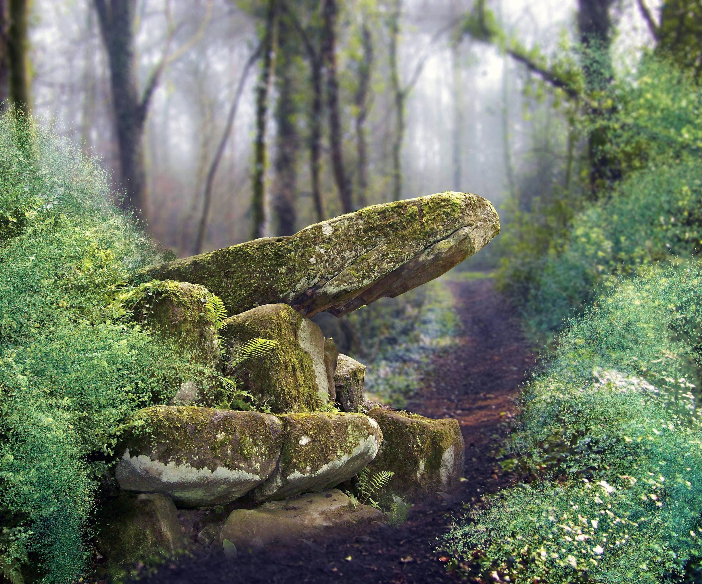 Mossy Rocks In An Enchanted Forest Background