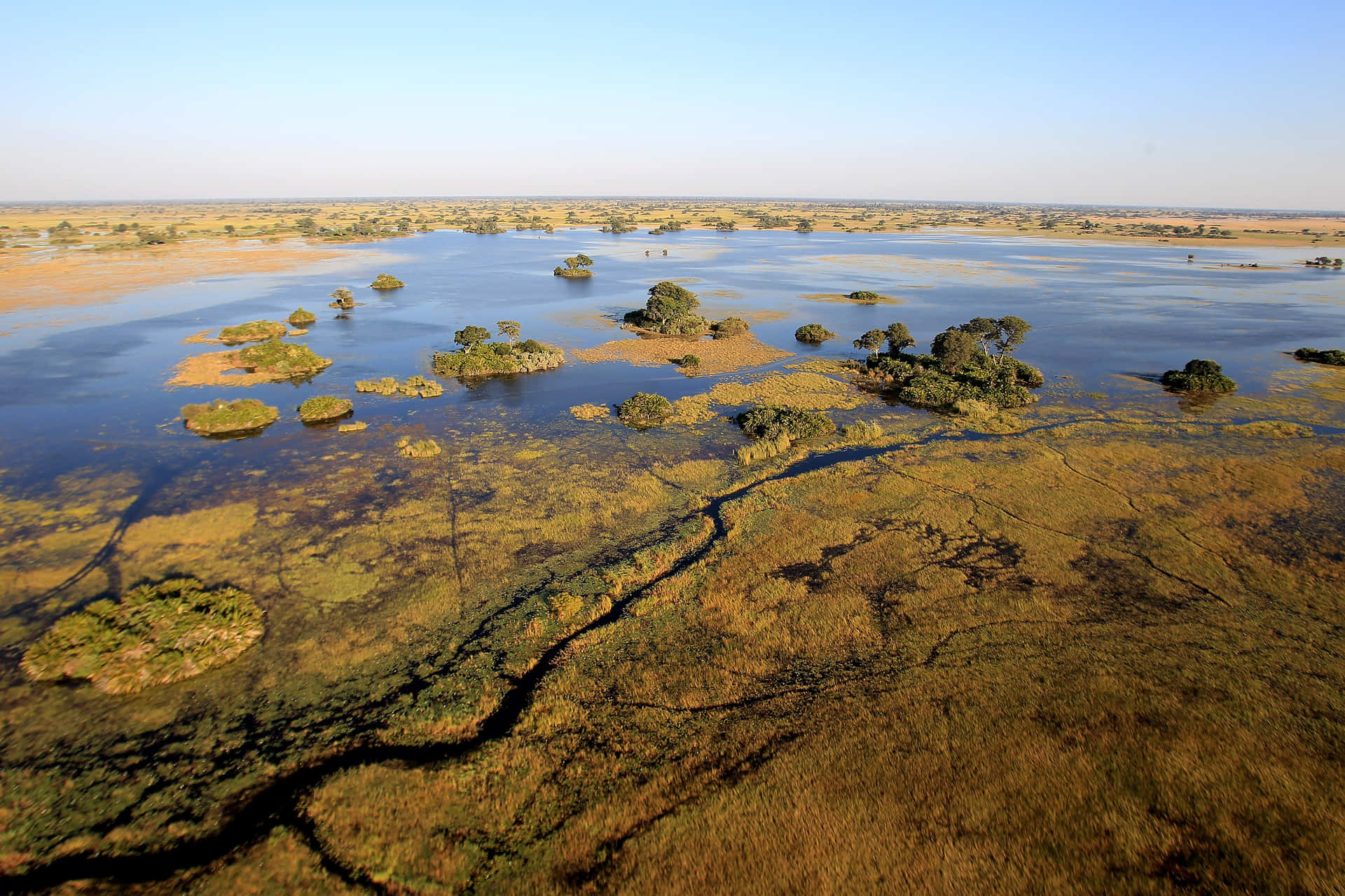 Mossigavåtmarker I Okavangodeltat Wallpaper