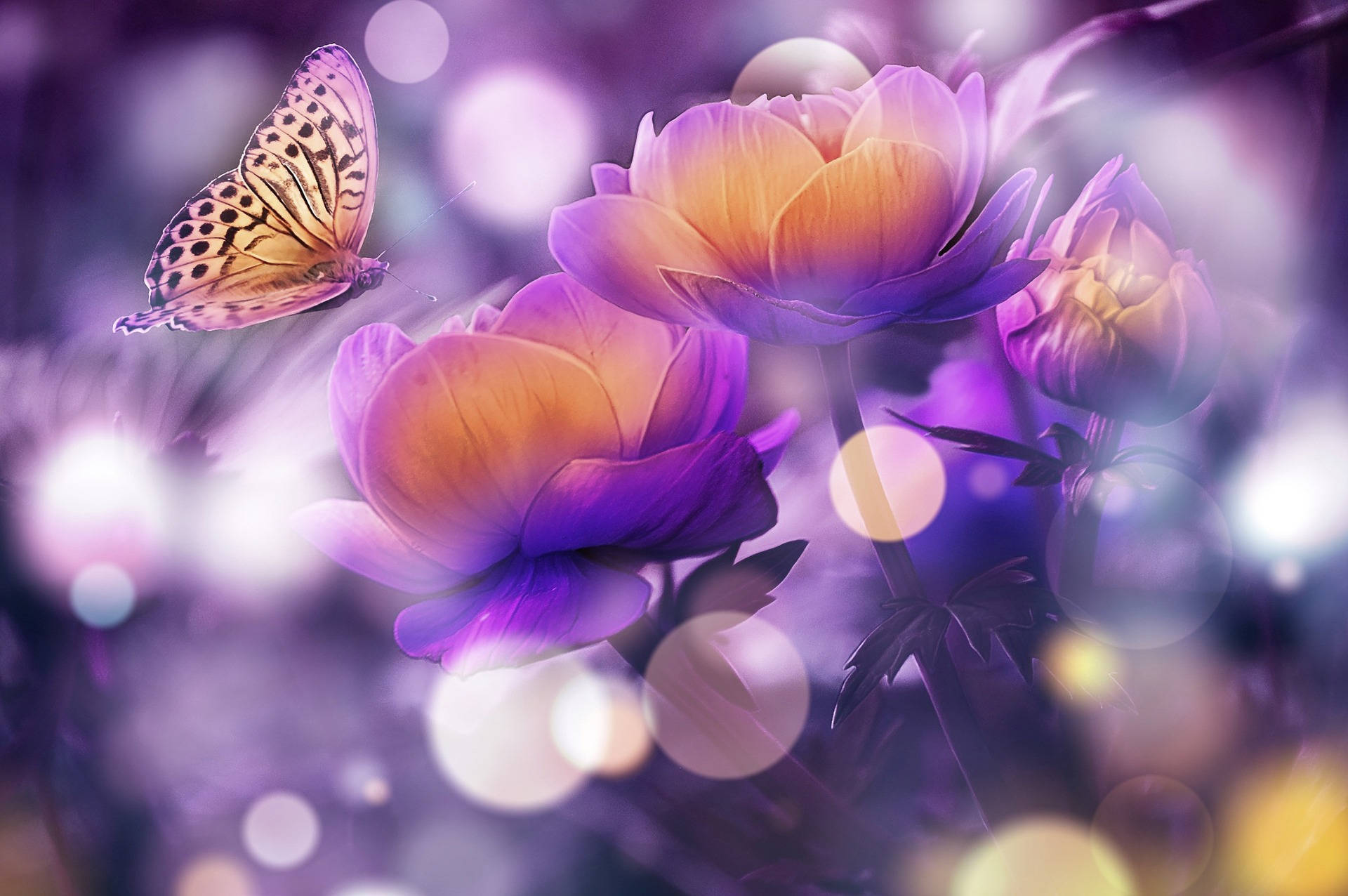 Detmest Vackra Skrivbordsbakgrundsbilden Med Fjärilar Och Blommor. Wallpaper