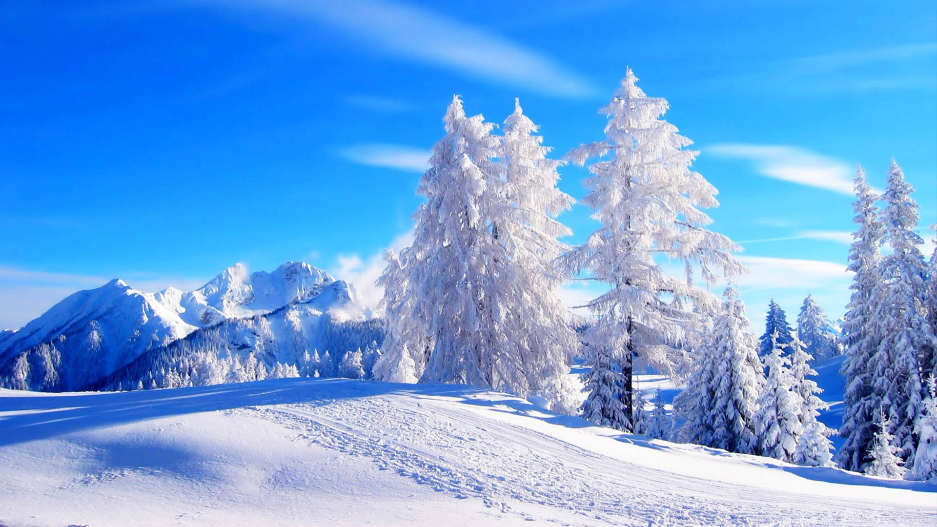 Most Beautiful Hd Snow Landscape Wallpaper