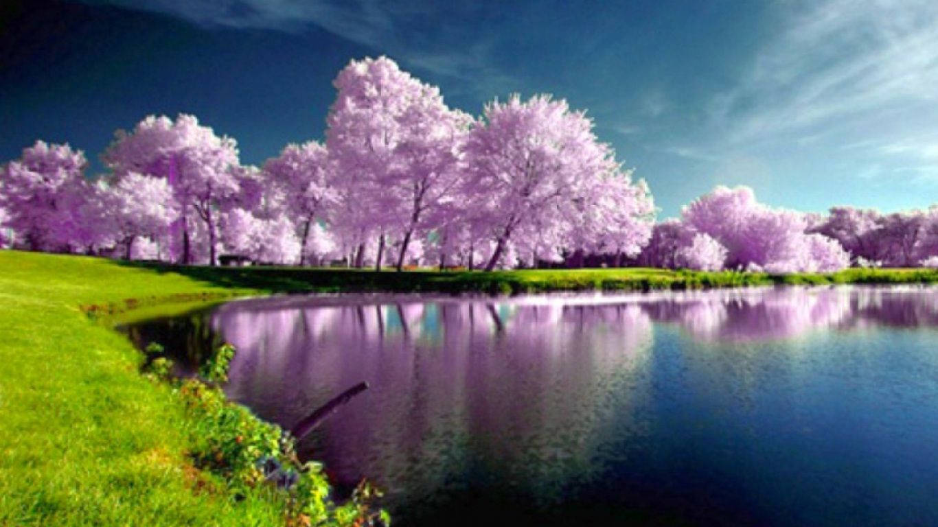 Most Beautiful Spring Scenery Wallpaper