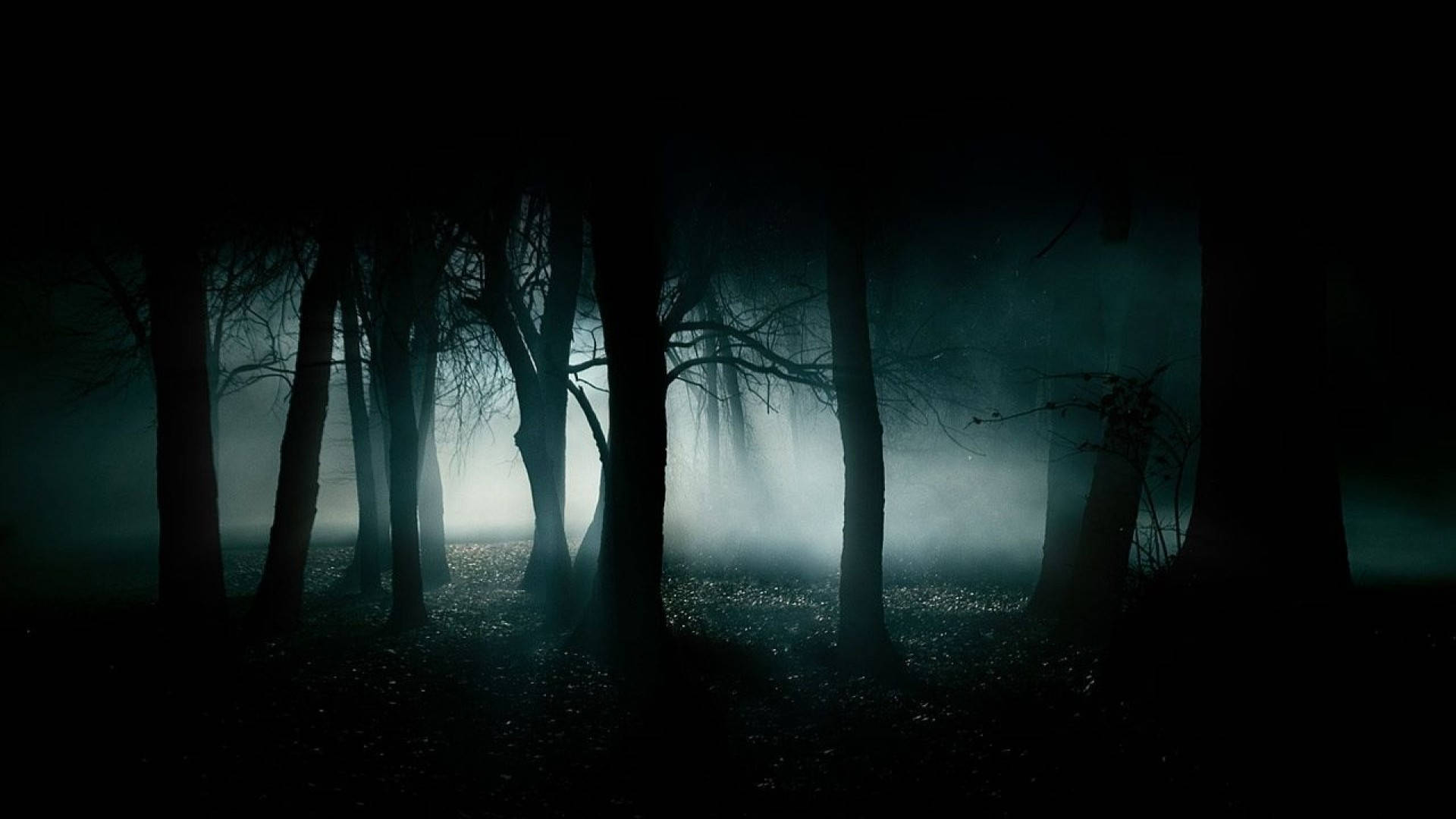 Download Most Scary Haunted Forest Wallpaper 