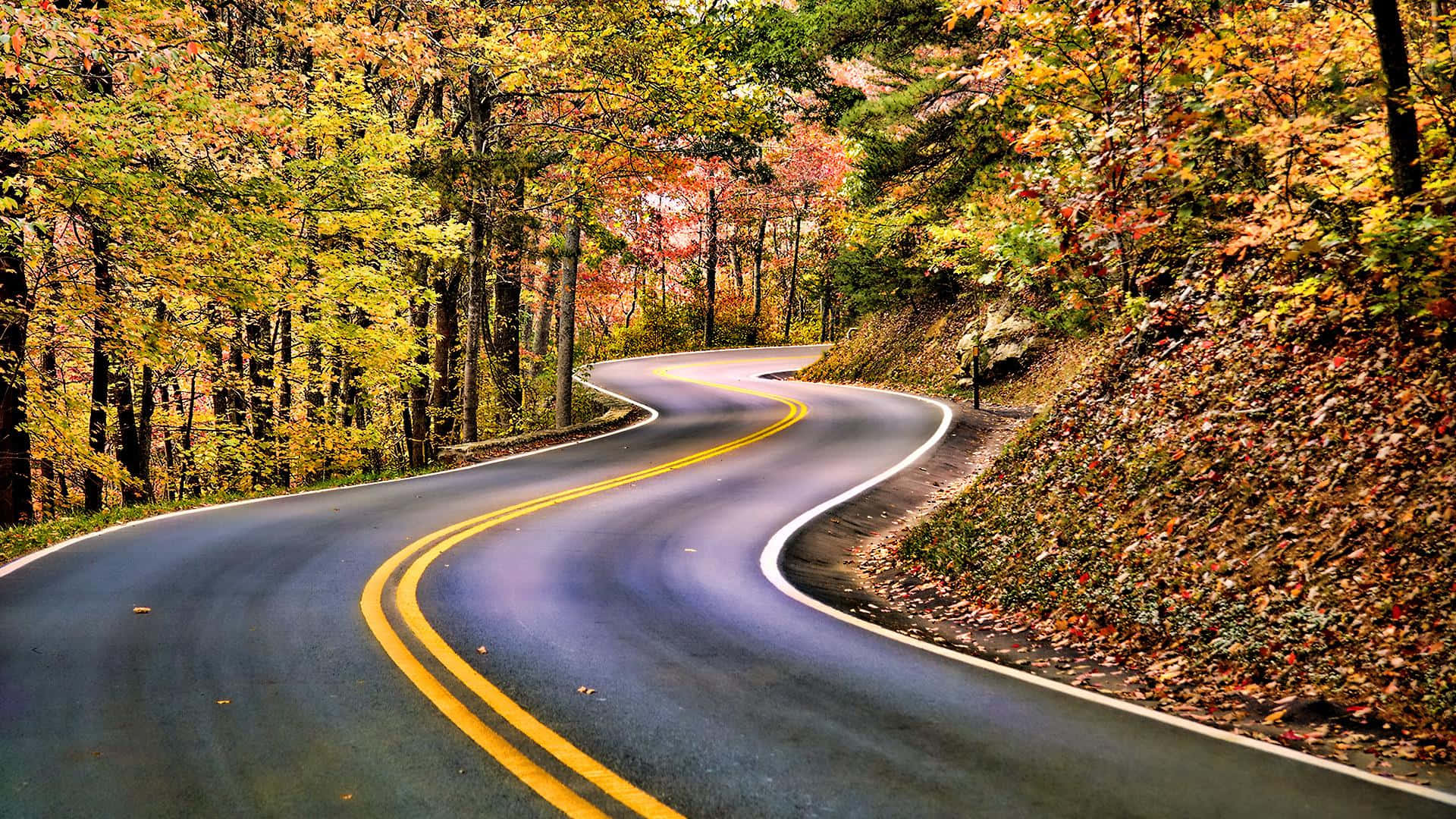 Most Scenic Drives Wallpaper