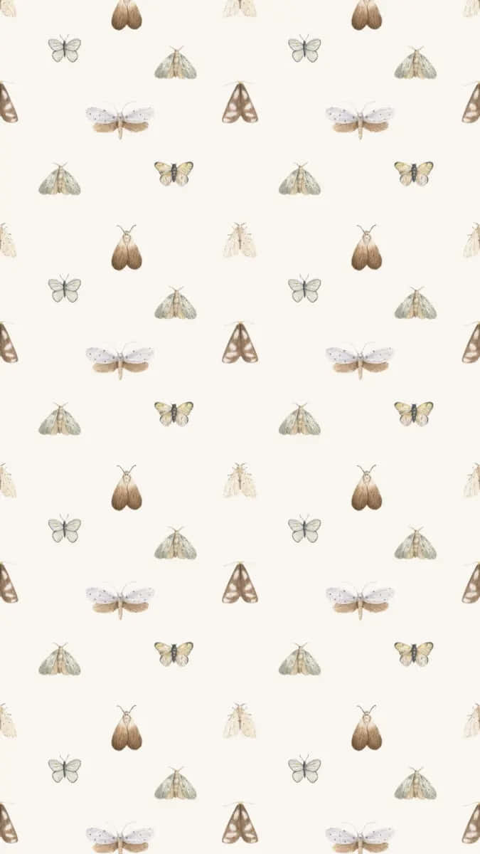 Moth Pattern Aesthetic Wallpaper.jpg Wallpaper