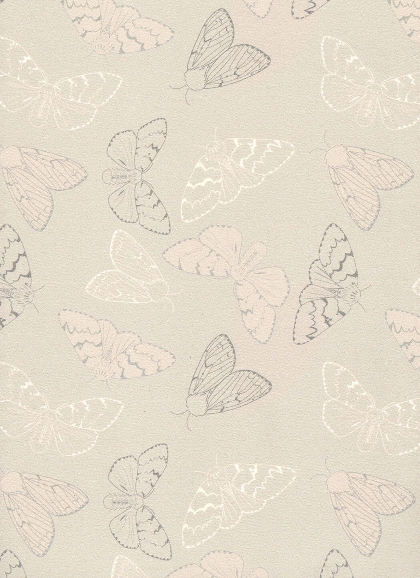 Moth Pattern Neutral Background Wallpaper