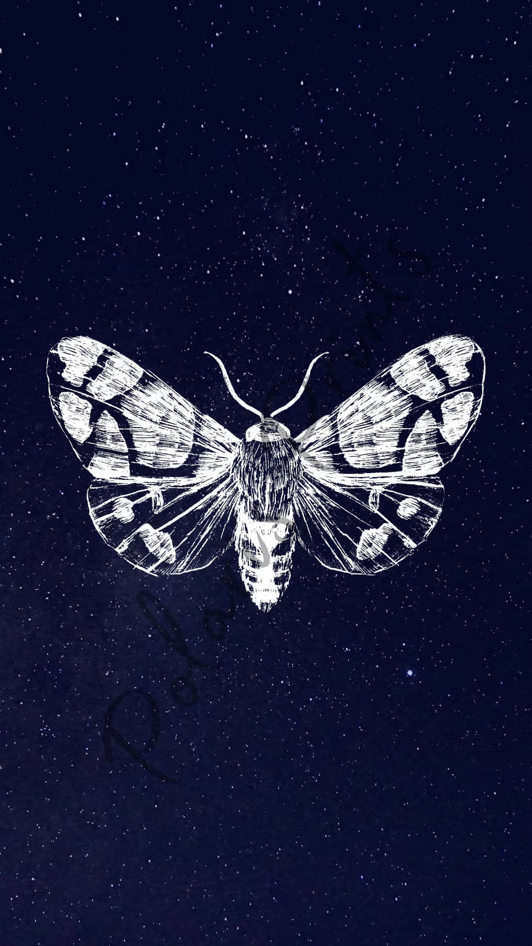 Moth Starry Night Aesthetic.jpg Wallpaper