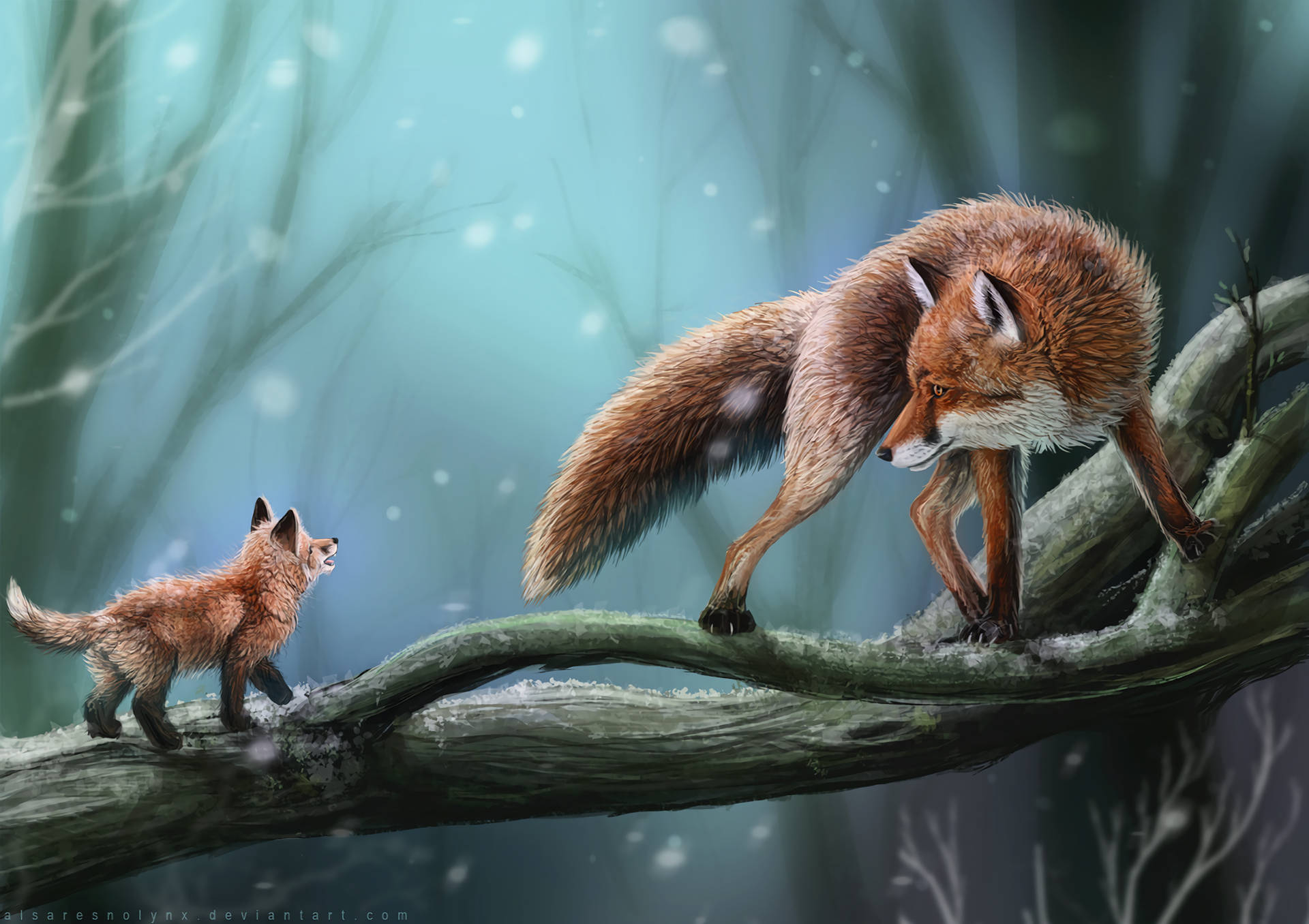 Love of a Mother Fox Wallpaper