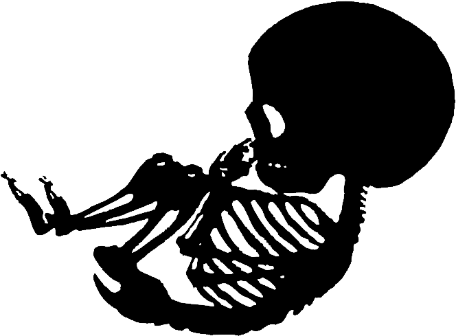 Mother Child Skeleton Silhouette PNG