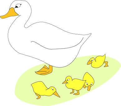 Mother Duckand Ducklings Cartoon PNG