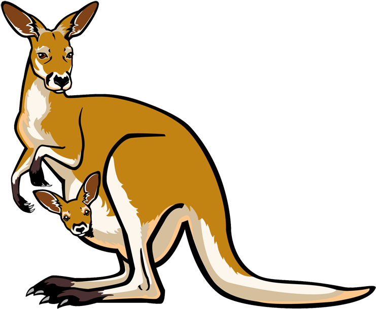 Mother Kangarooand Joey Vector Illustration PNG