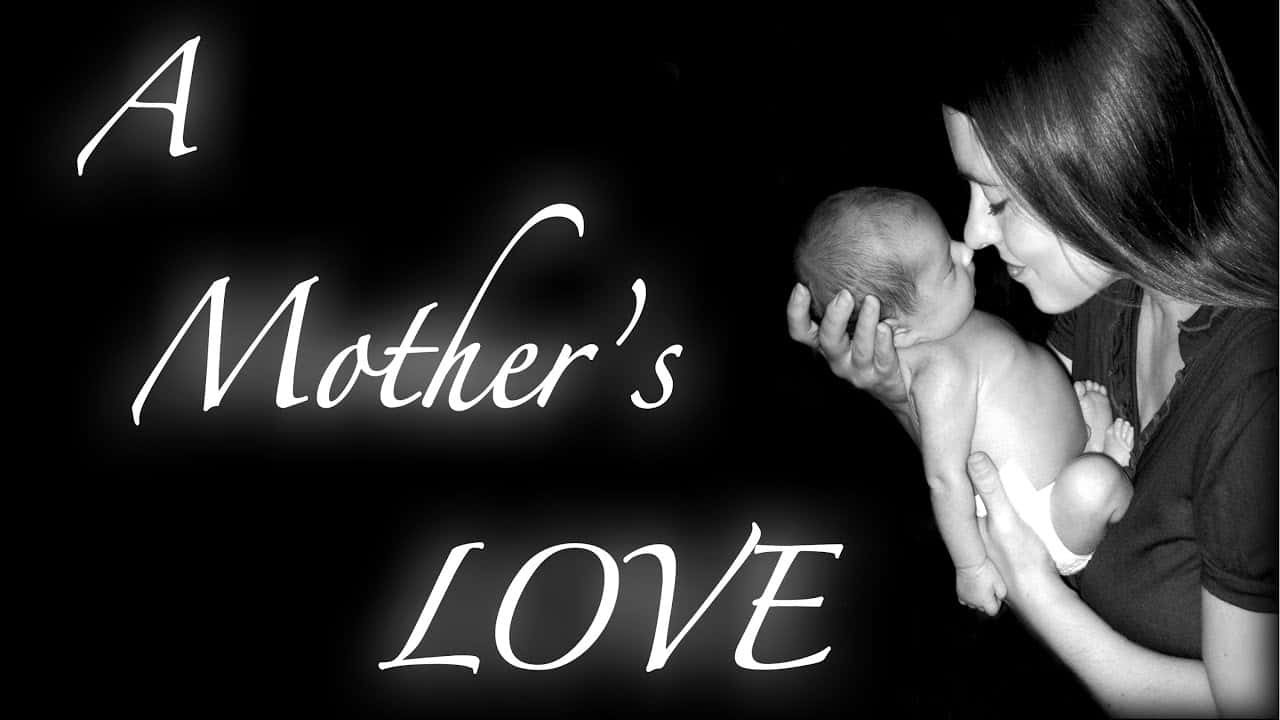 A Mother's Love By Sarah Mcdonald