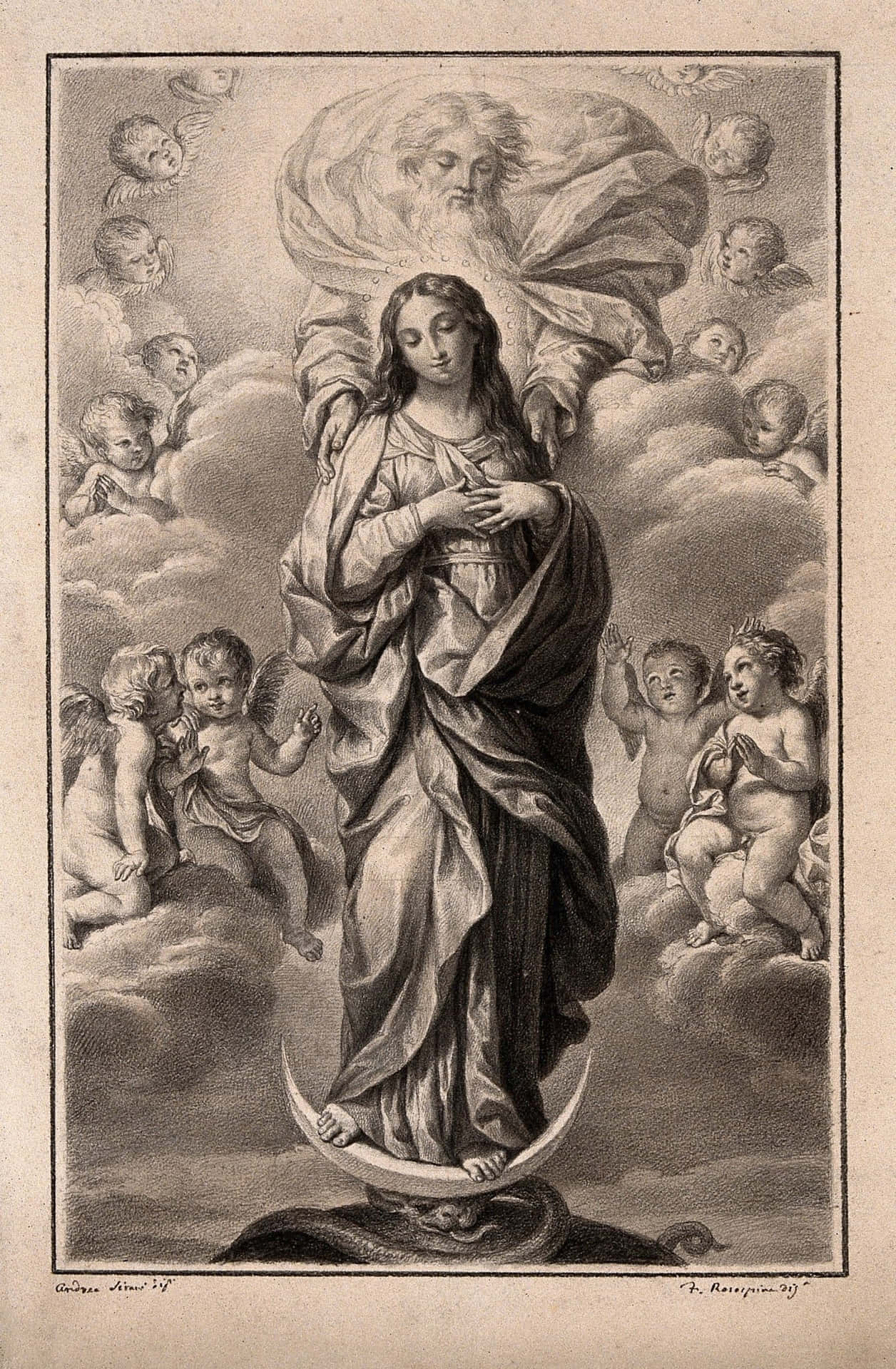 Mother Mary Assumption In Heavenly Glory Wallpaper