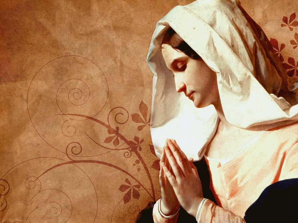Oracióna La Virgen María, Madre Bendita Fondo de pantalla