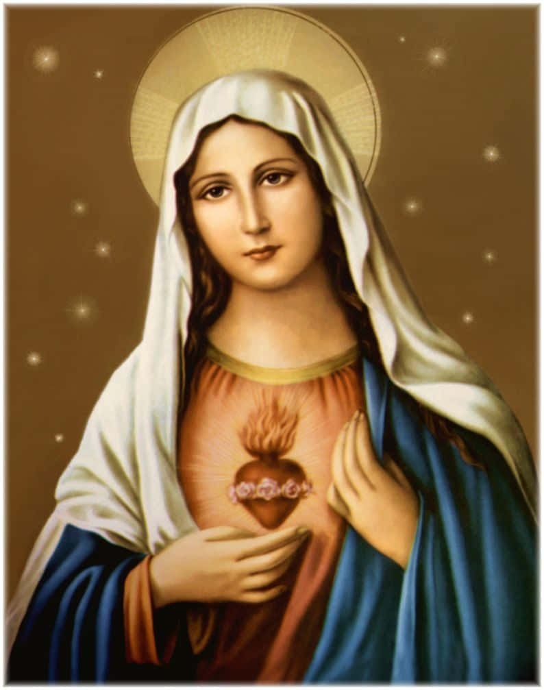 Immaculate Heart Of Mother Mary Wallpaper
