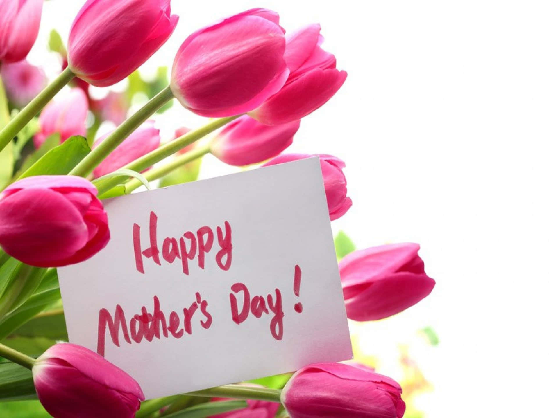 Give mom the appreciation she deserves this Mother's Day