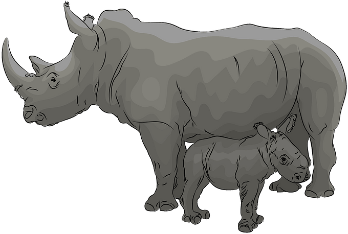 Motherand Baby Rhinoceros Illustration PNG