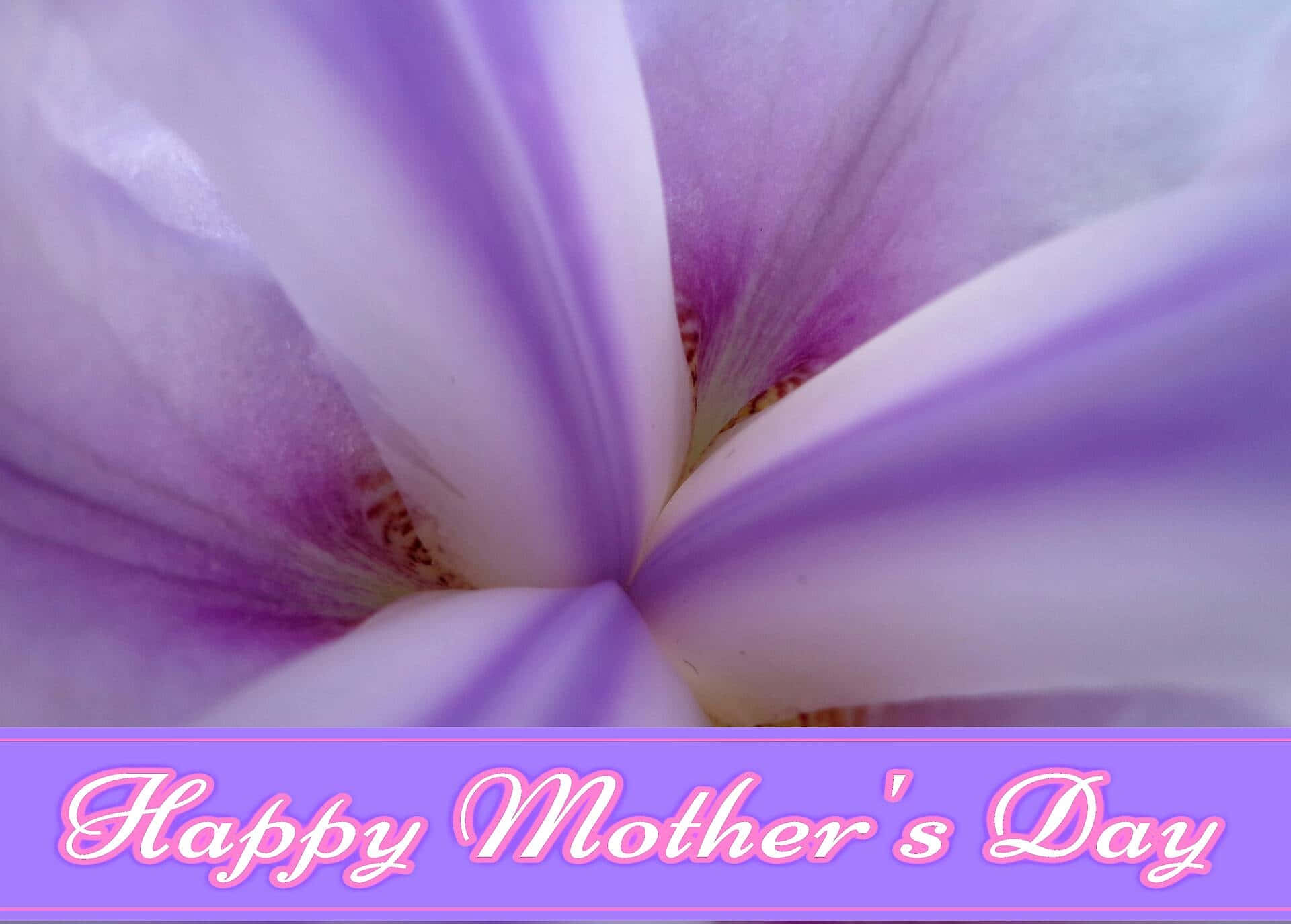 Celebrala Festa Della Mamma Con Un Segno Di Apprezzamento Che Tua Madre Merita