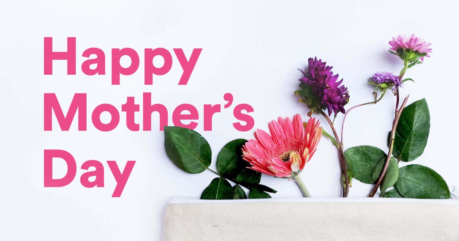 Celebreo Dia Das Mães Com Apreciação E Gratidão