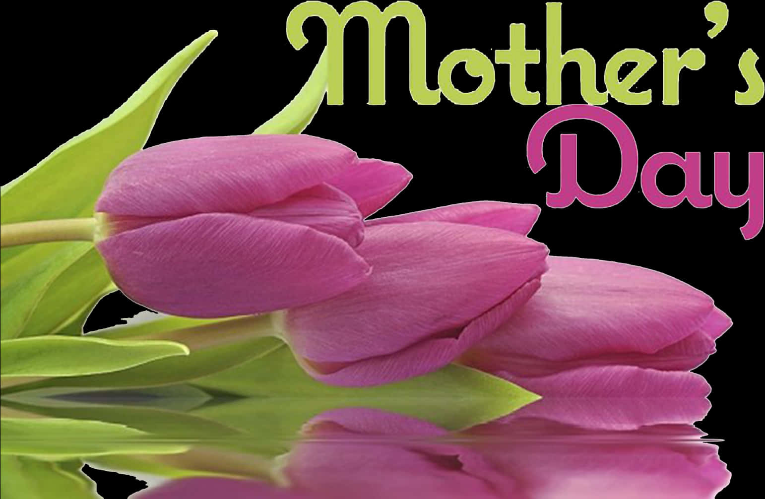 Mothers Day Pink Tulips PNG