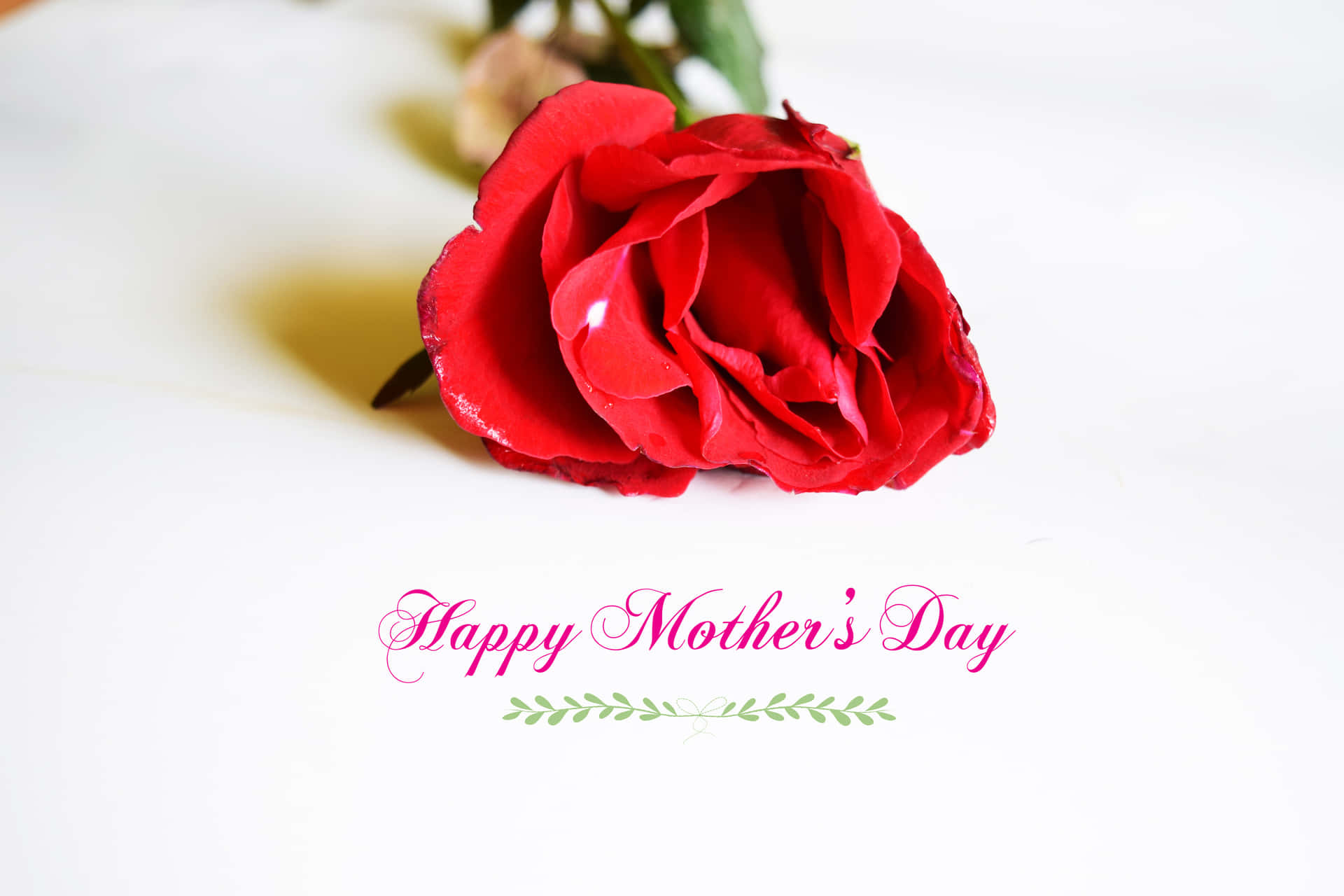 Mothers Day Red Rose Greeting Wallpaper