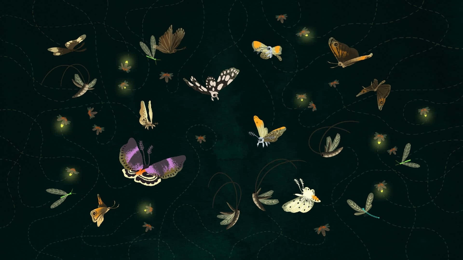 Moths_and_ Fireflies_ Night_ Dance Wallpaper