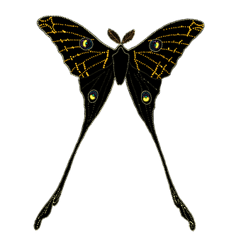Mothwith Tails Illustration PNG
