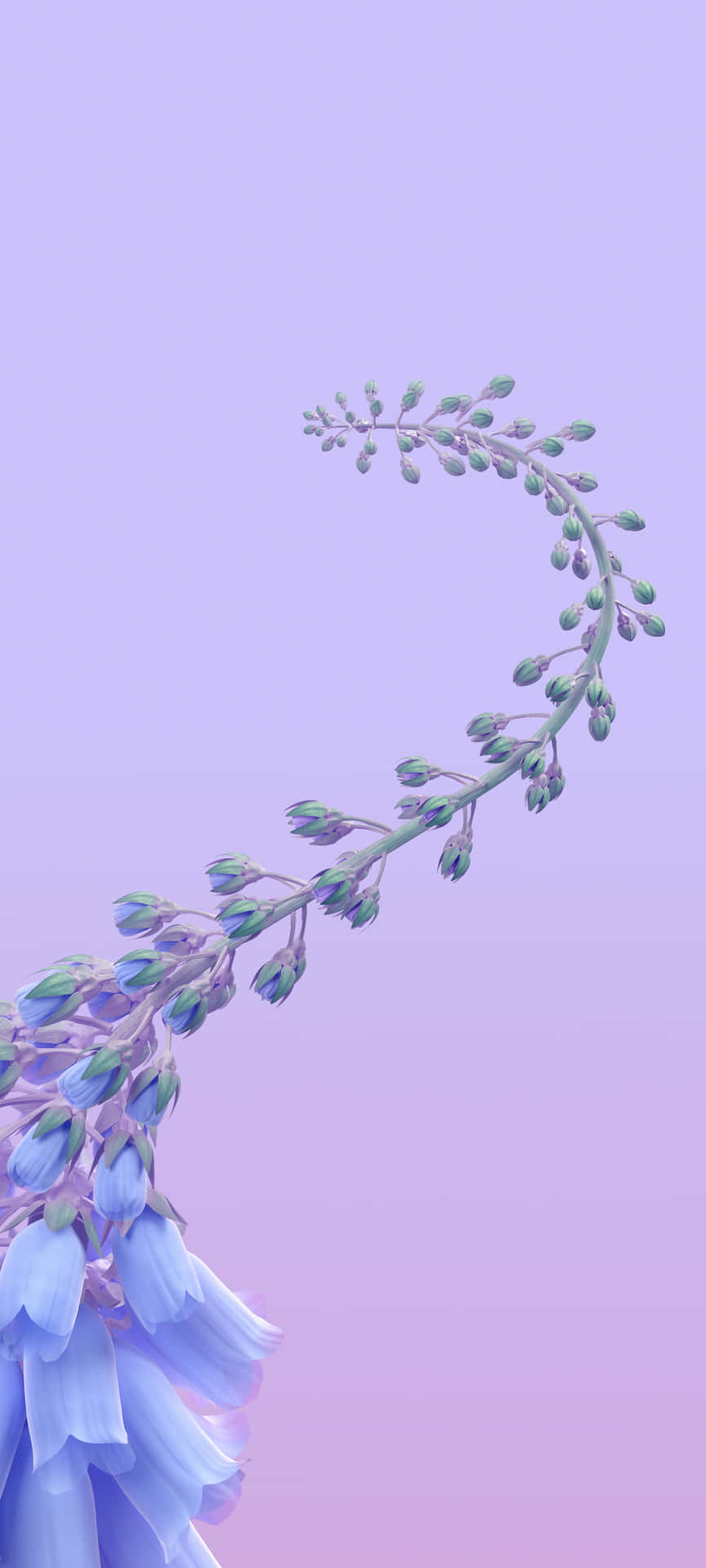 Enblå Blomma Med Lila Löv I Bakgrunden Wallpaper