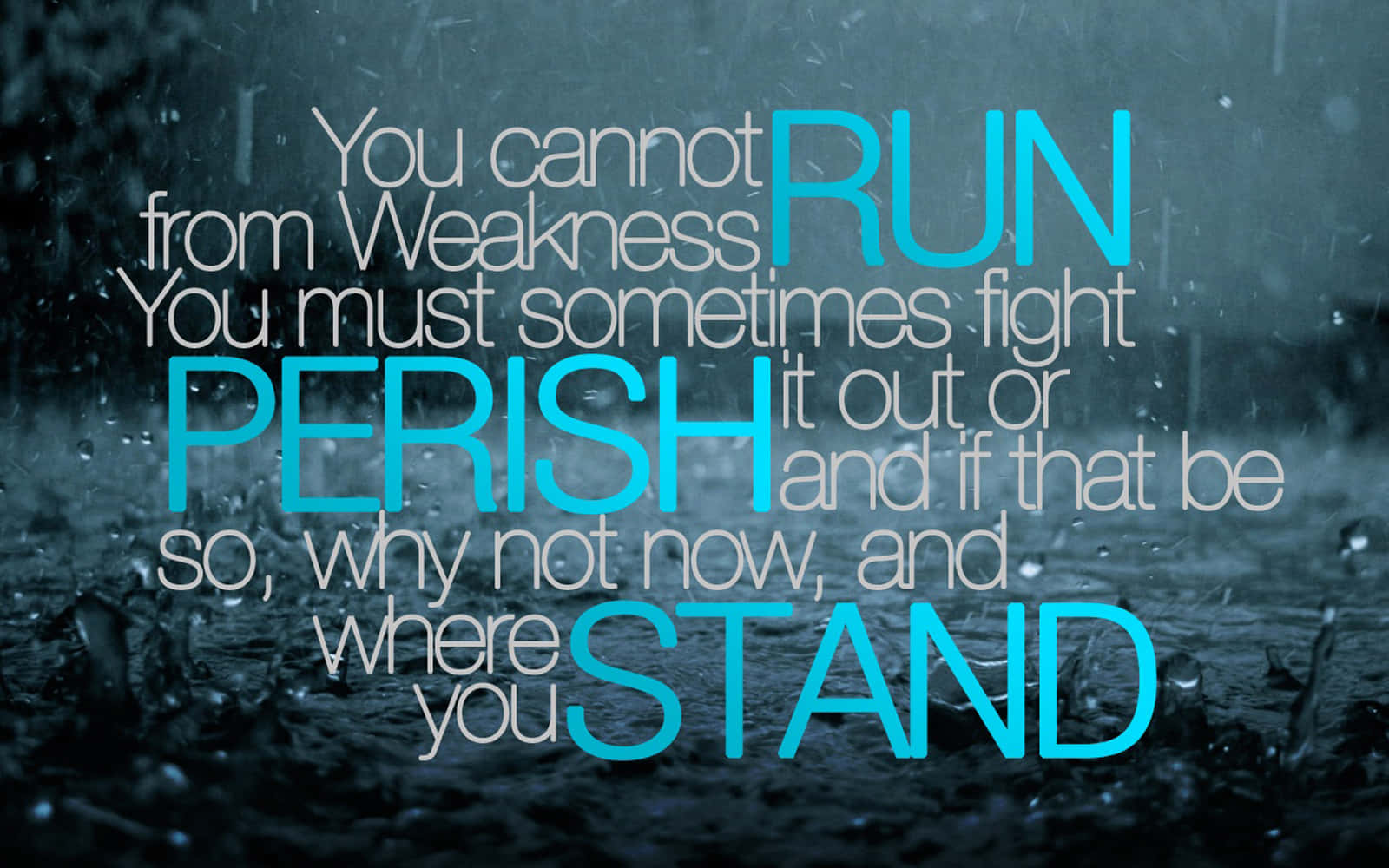 A Quote That Says You Cannot Run From Weakness