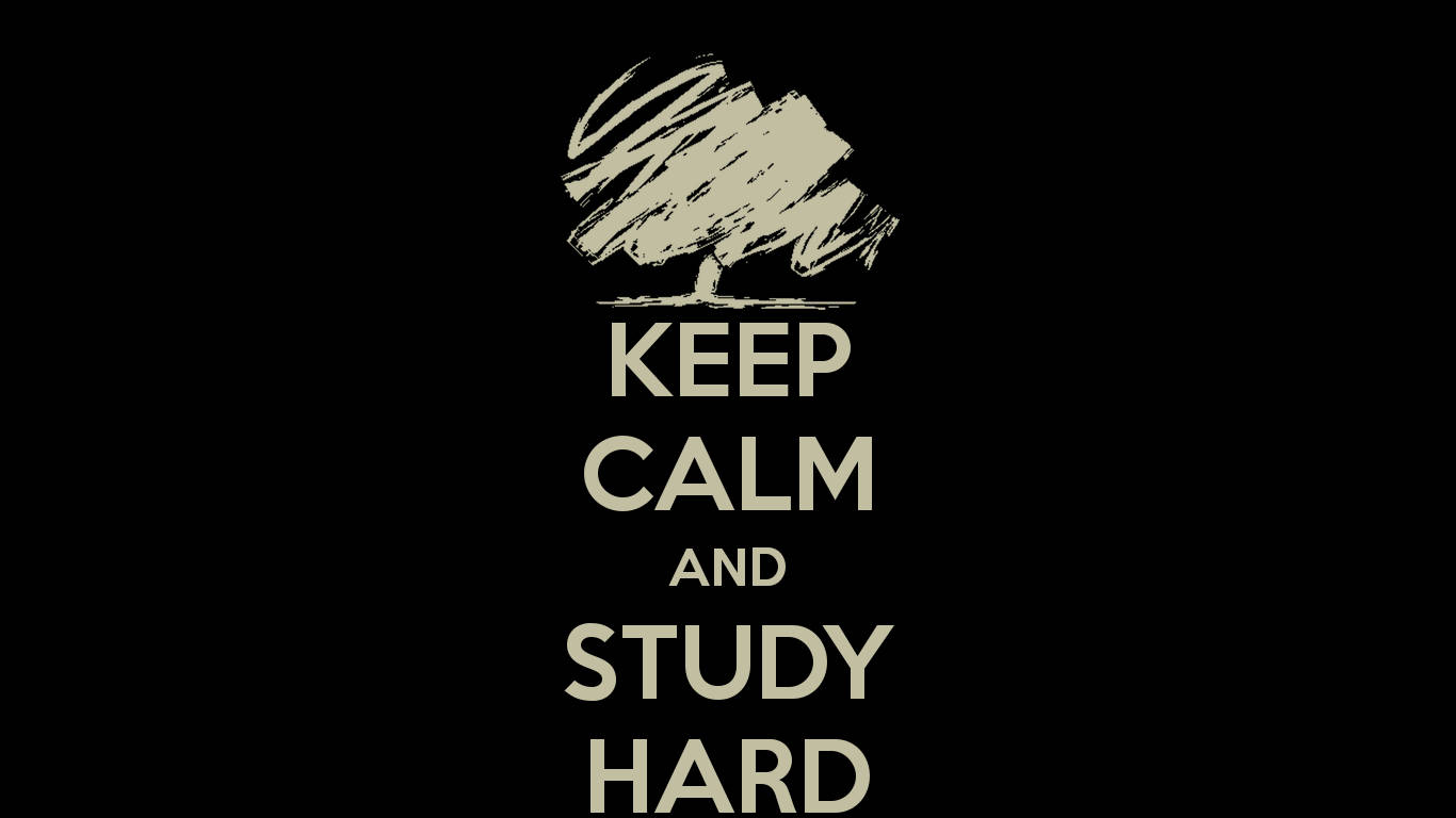 Motivational Studying Quote Wallpaper