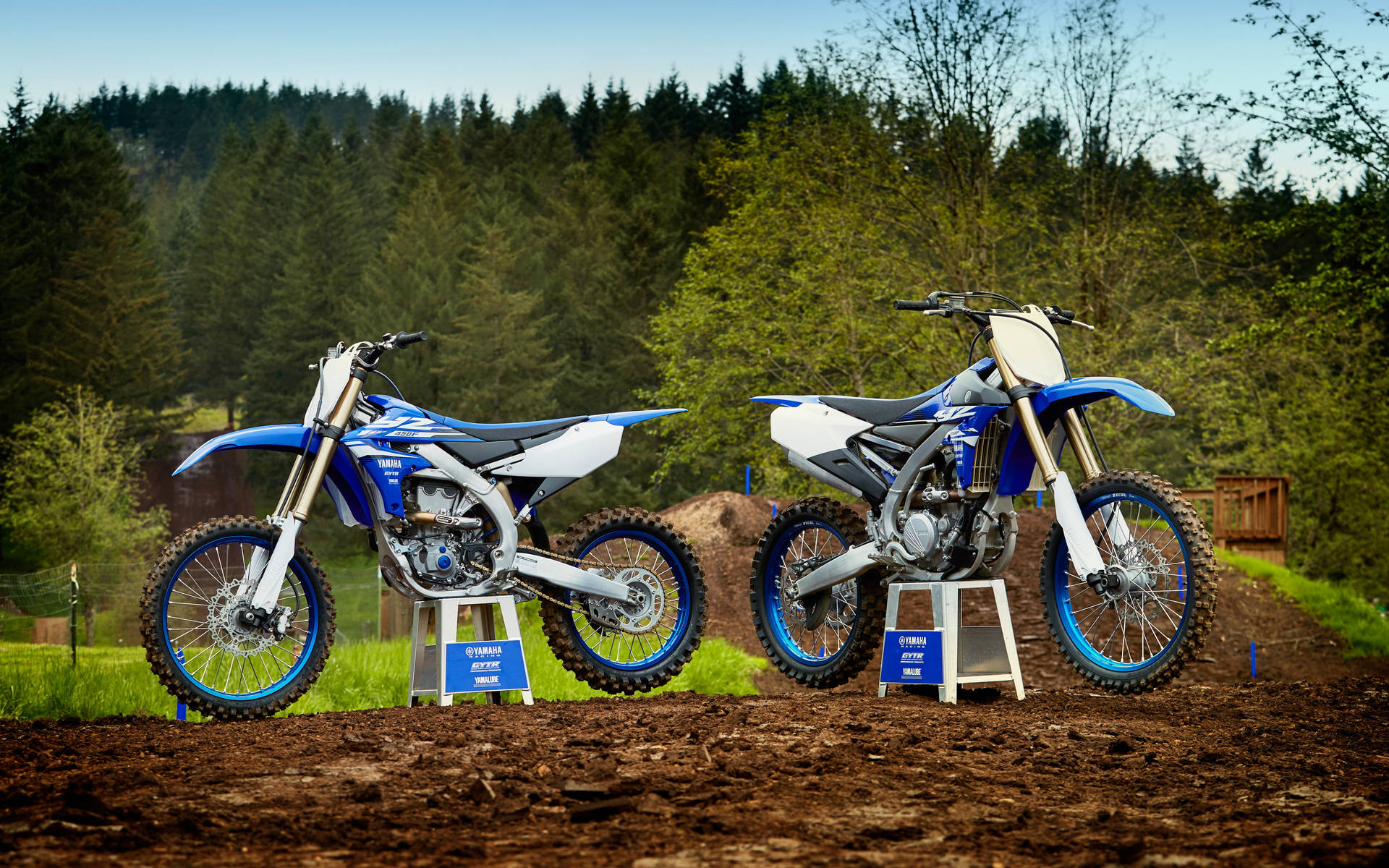 Motocross Two Blue Yamahas