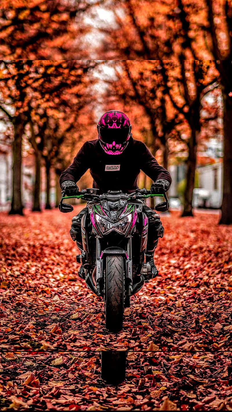 Motorcycle During Autumn Season [wallpaper] Wallpaper