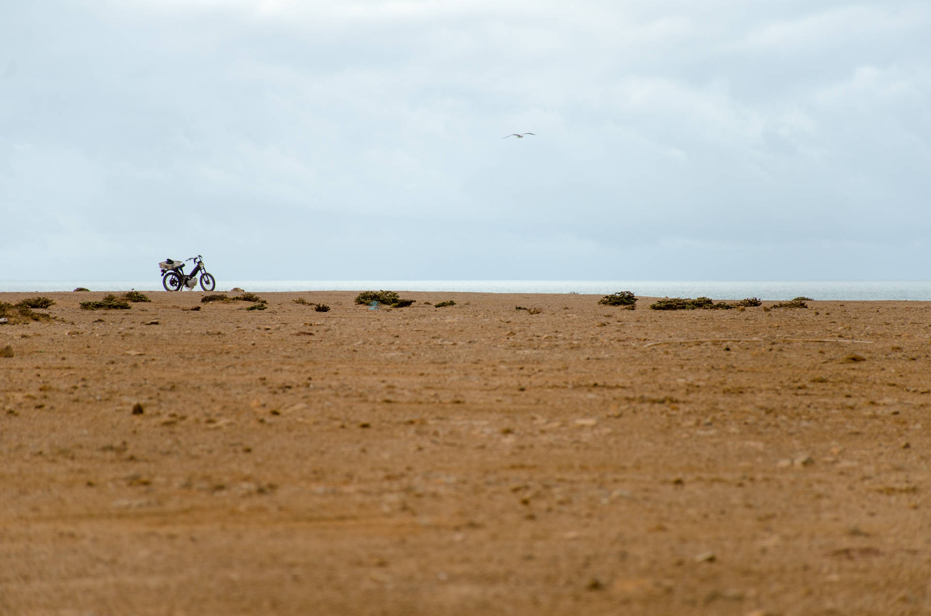 Motocicletaen El Sahara Fondo de pantalla