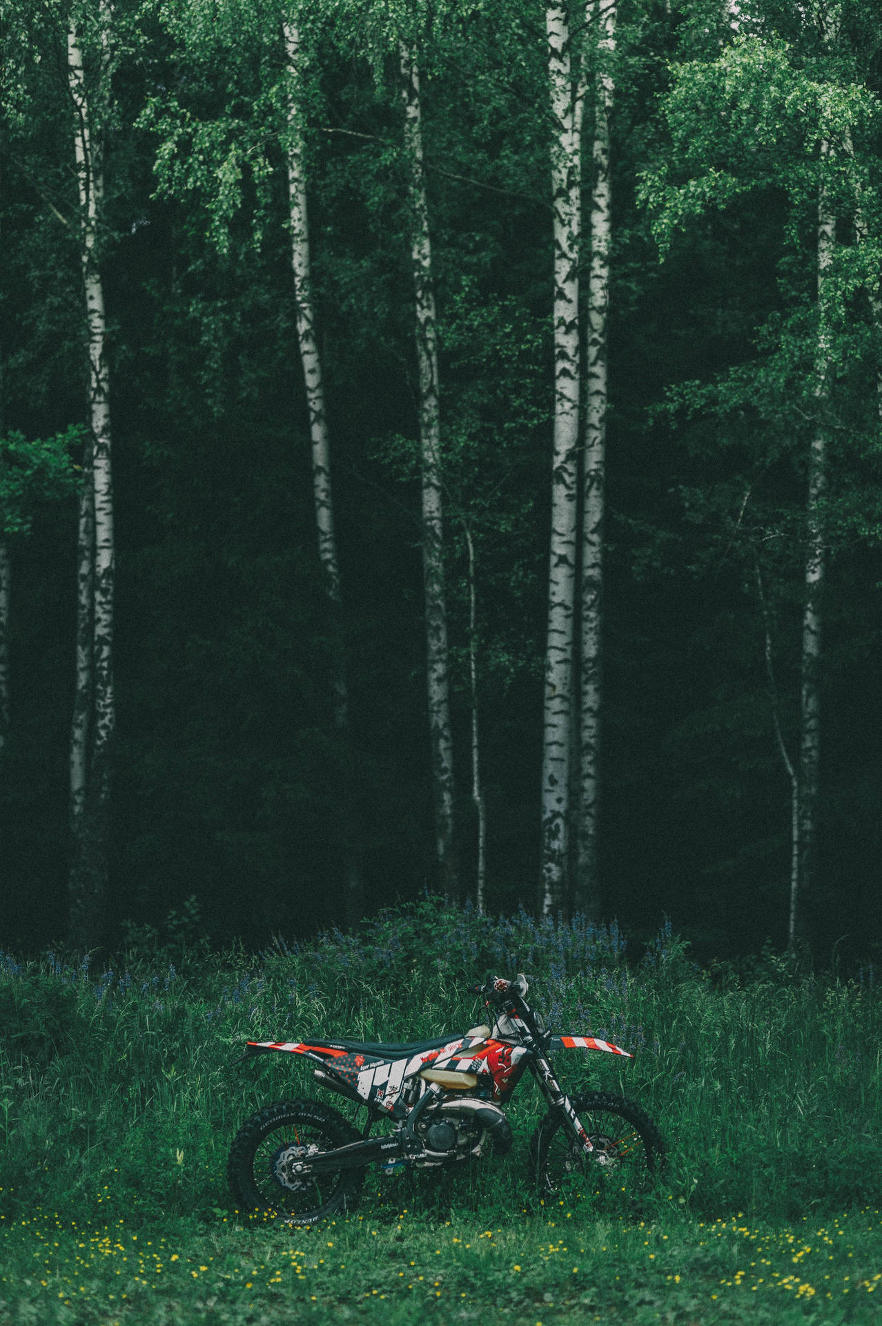 Motorcycle Over Forest View Wallpaper