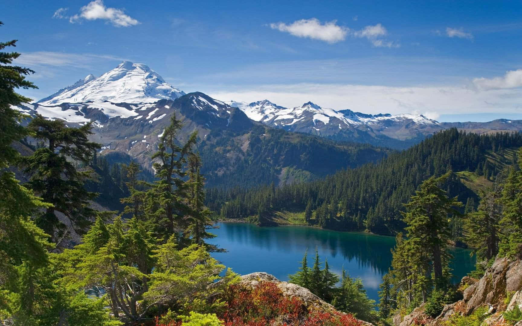 Paesaggiodi Montagna Del Mount Baker Negli Stati Uniti Sfondo