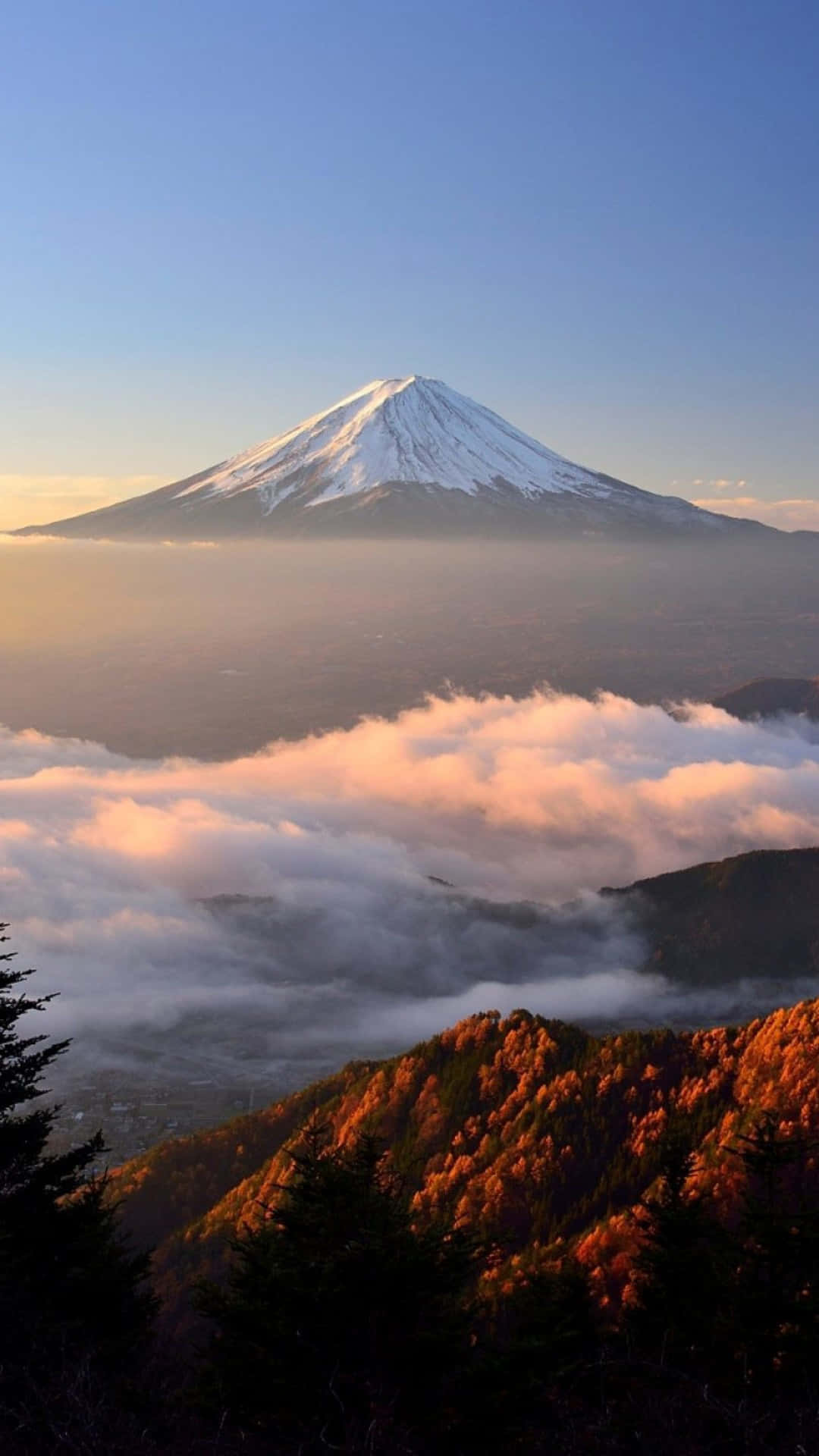 Mount Fuji Above The Clouds Picture