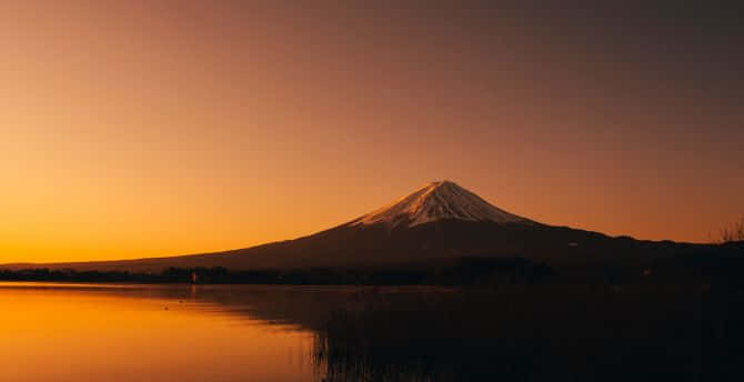 Mount Fuji og Lake Shojiko af Tai Kamiya Wallpaper