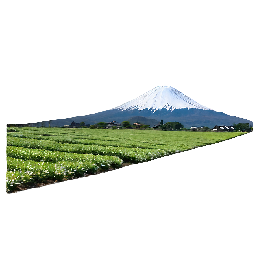 Mount Fuji And Tea Fields Png Wyk54 PNG