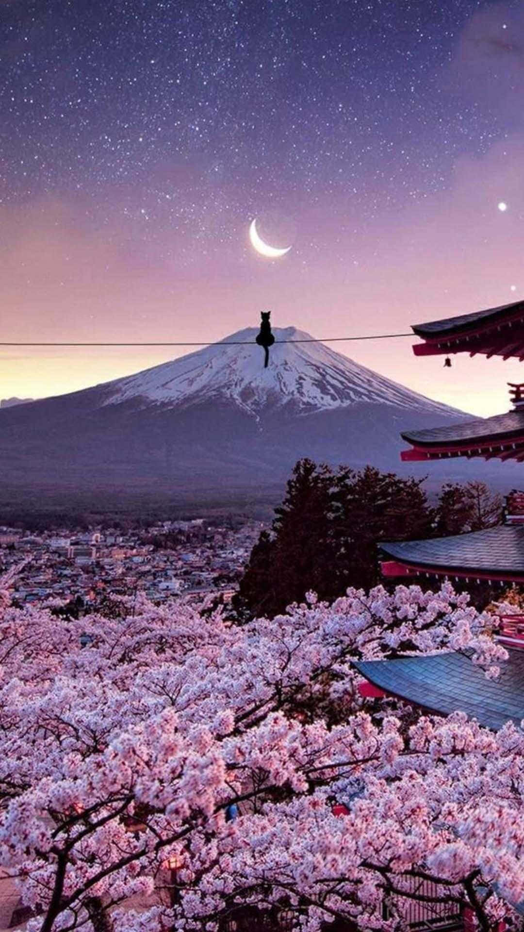 Mount Fuji Cherry Blossoms Night Sky Wallpaper