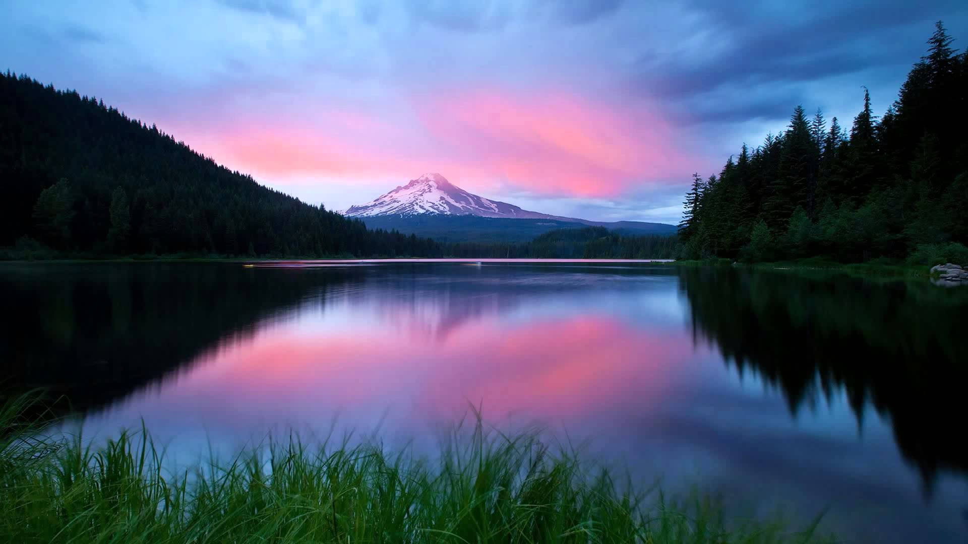 Mount Hood Nature Healing Therapy Wallpaper